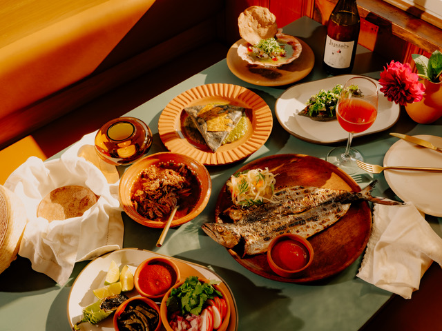Table full of food with a nice streak of natural lighting 